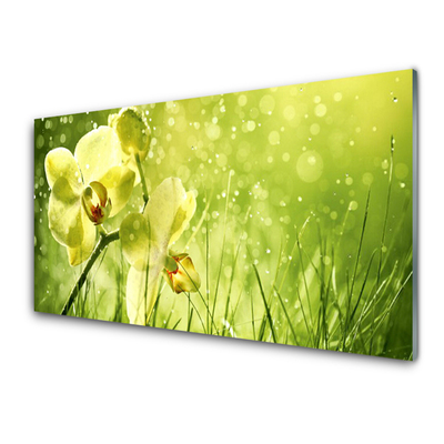 Druck auf Glas Gras Blumen Pflanzen