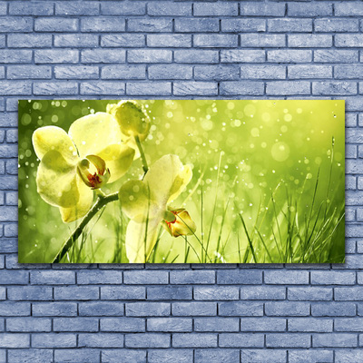 Druck auf Glas Gras Blumen Pflanzen