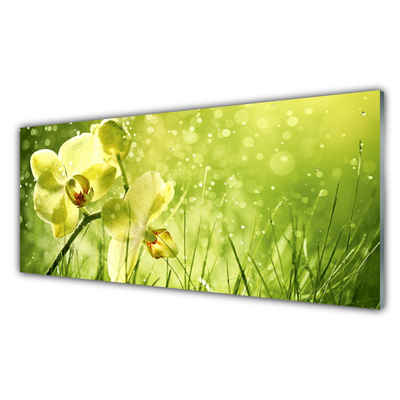 Druck auf Glas Gras Blumen Pflanzen