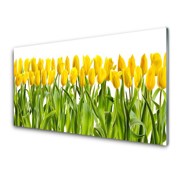 Druck auf Glas Tulpen Pflanzen