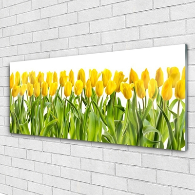 Druck auf Glas Tulpen Pflanzen