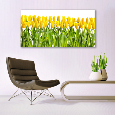 Druck auf Glas Tulpen Pflanzen