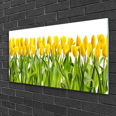 Druck auf Glas Tulpen Pflanzen