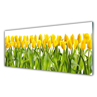 Druck auf Glas Tulpen Pflanzen