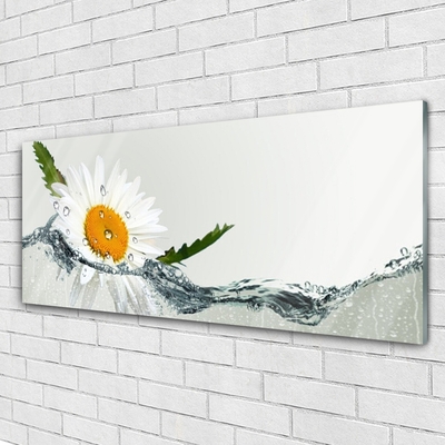 Druck auf Glas Gänseblümchen Wasser Kunst