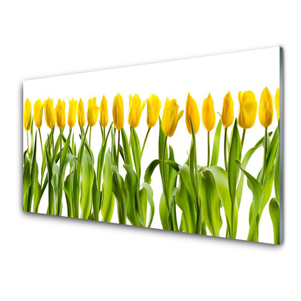 Druck auf Glas Tulpen Pflanzen