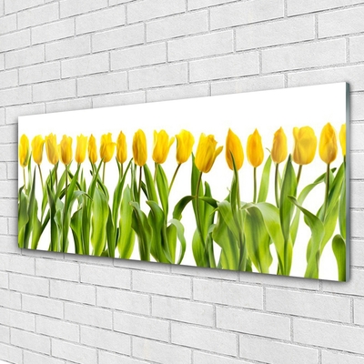 Druck auf Glas Tulpen Pflanzen