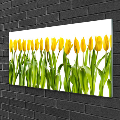 Druck auf Glas Tulpen Pflanzen