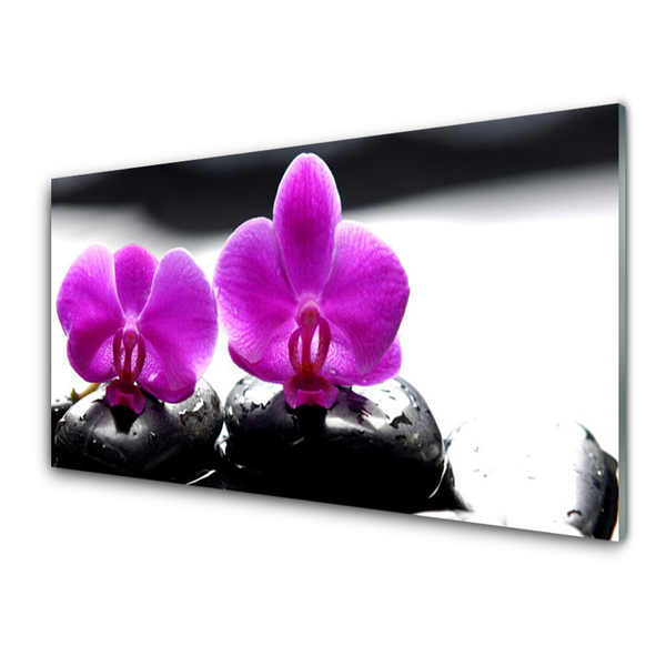 Druck auf Glas Blumen Steine Pflanzen