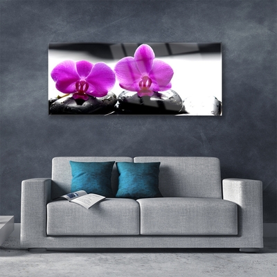 Druck auf Glas Blumen Steine Pflanzen
