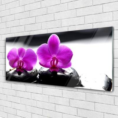 Druck auf Glas Blumen Steine Pflanzen