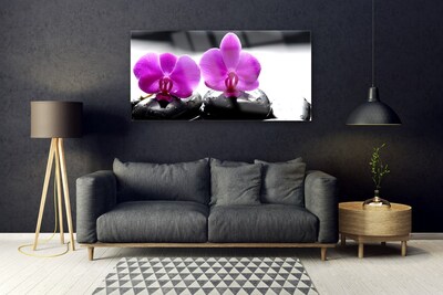 Druck auf Glas Blumen Steine Pflanzen