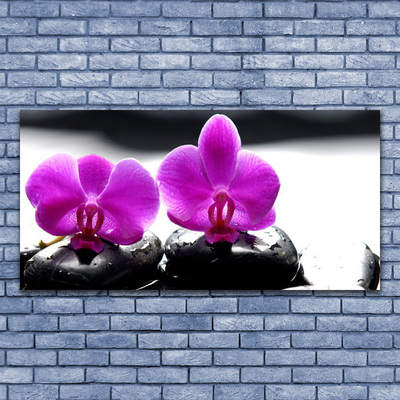 Druck auf Glas Blumen Steine Pflanzen