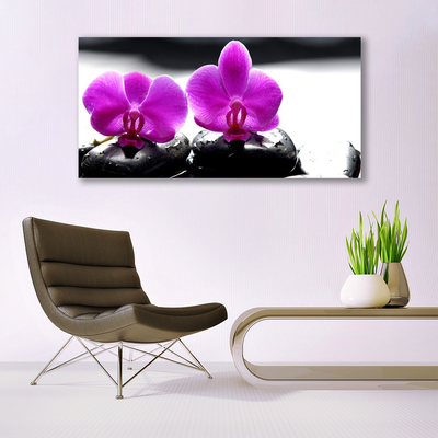 Druck auf Glas Blumen Steine Pflanzen