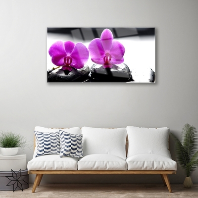 Druck auf Glas Blumen Steine Pflanzen