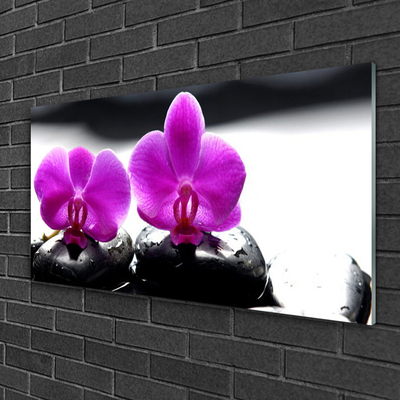 Druck auf Glas Blumen Steine Pflanzen