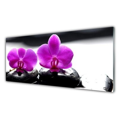 Druck auf Glas Blumen Steine Pflanzen