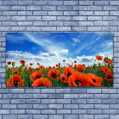 Druck auf Glas Wiese Mohnblumen Pflanzen