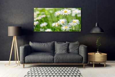 Druck auf Glas Gänseblümchen Pflanzen