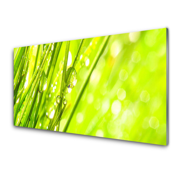 Druck auf Glas Gras Natur