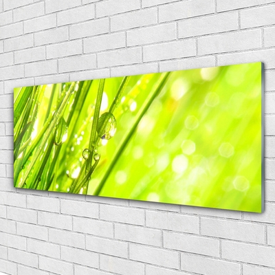 Druck auf Glas Gras Natur