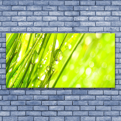 Druck auf Glas Gras Natur