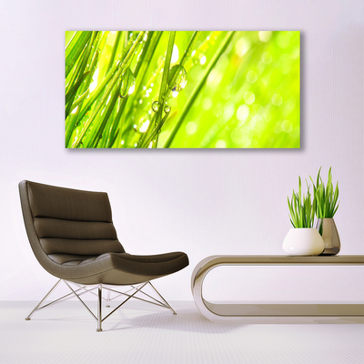 Druck auf Glas Gras Natur