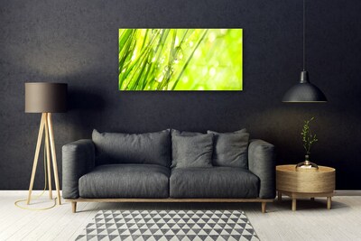 Druck auf Glas Gras Natur