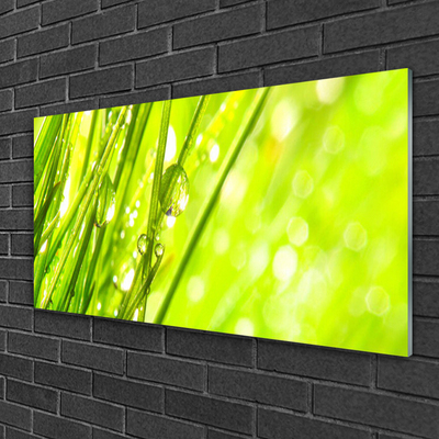 Druck auf Glas Gras Natur