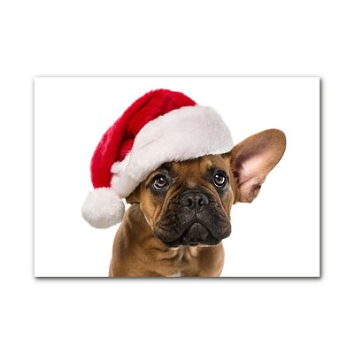 Glasbilder Bulldog Hundeweihnachts