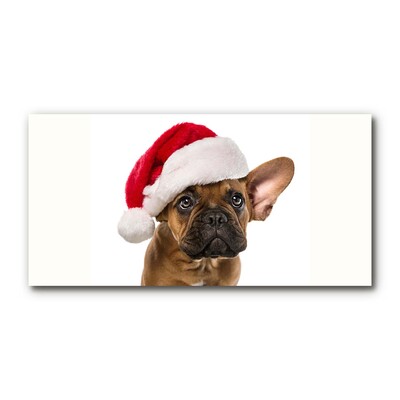 Glasbilder Bulldog Hundeweihnachts