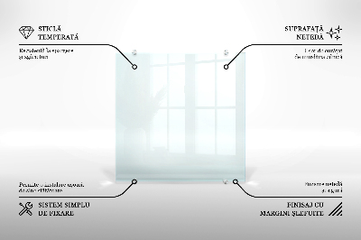 Glas Küchenpaneel transparentes