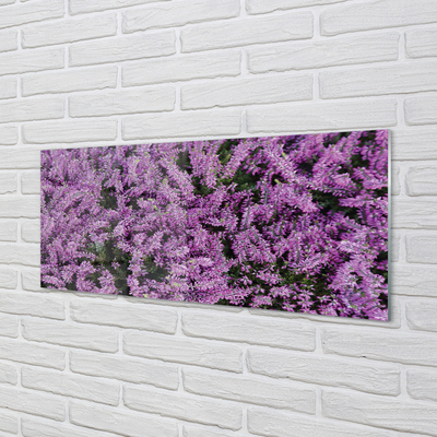 Küchenrückwand spritzschutz Lilane blumen