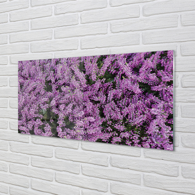 Küchenrückwand spritzschutz Lilane blumen