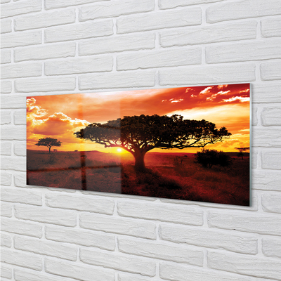Küchenrückwand spritzschutz Wolken bäume westen