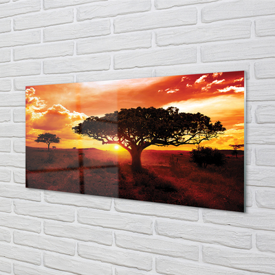 Küchenrückwand spritzschutz Wolken bäume westen
