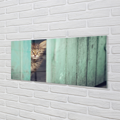 Küchenrückwand spritzschutz Katze zaglądający
