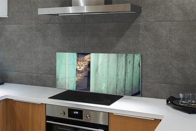 Küchenrückwand spritzschutz Katze zaglądający