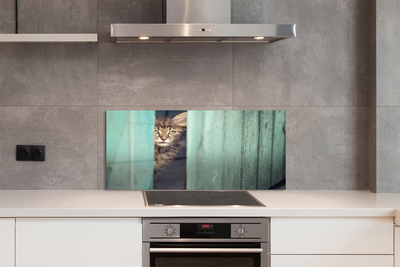 Küchenrückwand spritzschutz Katze zaglądający