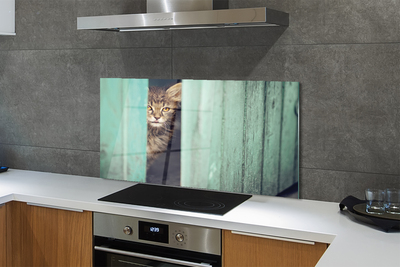 Küchenrückwand spritzschutz Katze zaglądający
