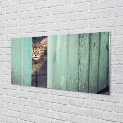 Küchenrückwand spritzschutz Katze zaglądający