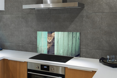 Küchenrückwand spritzschutz Katze zaglądający