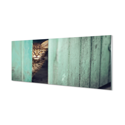 Küchenrückwand spritzschutz Katze zaglądający