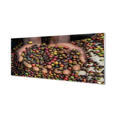 Küchenrückwand spritzschutz Gewürze