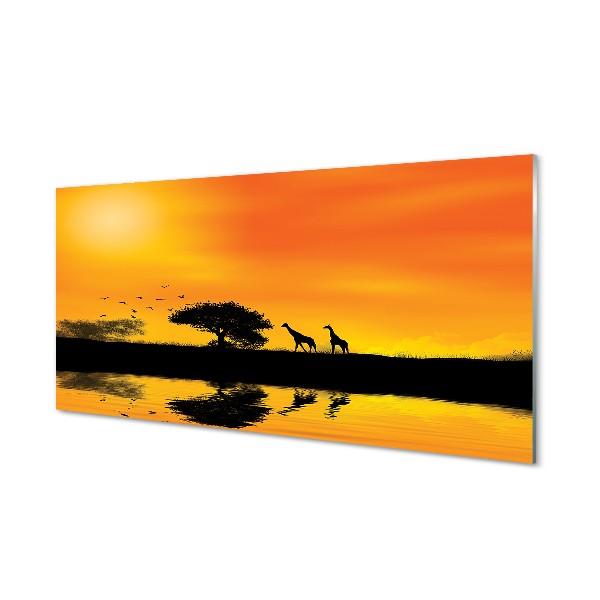 Küchenrückwand spritzschutz Giraffen baum westsee