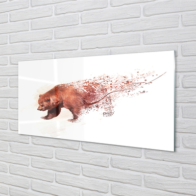Küchenrückwand spritzschutz Bär