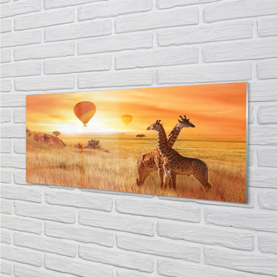 Küchenrückwand spritzschutz Ballon-himmel-giraffe