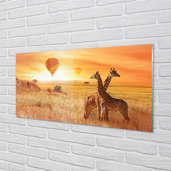 Küchenrückwand spritzschutz Ballon-himmel-giraffe