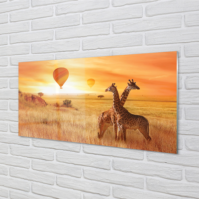 Küchenrückwand spritzschutz Ballon-himmel-giraffe