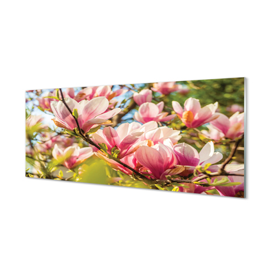 Küchenrückwand spritzschutz Rosa magnolias